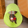 Tunel Interactivo Plegable Para Gatos