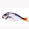 Simulation Fish Plush Animals Toys  Pillow Plush Toys Funny Pet Animal Toys