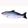 Simulation Fish Plush Animals Toys  Pillow Plush Toys Funny Pet Animal Toys