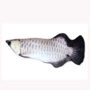 Simulation Fish Plush Animals Toys  Pillow Plush Toys Funny Pet Animal Toys