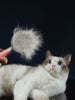 Brush comb pet cats hair remover